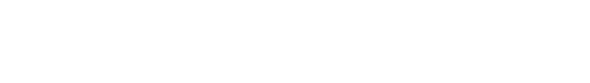 Logizen